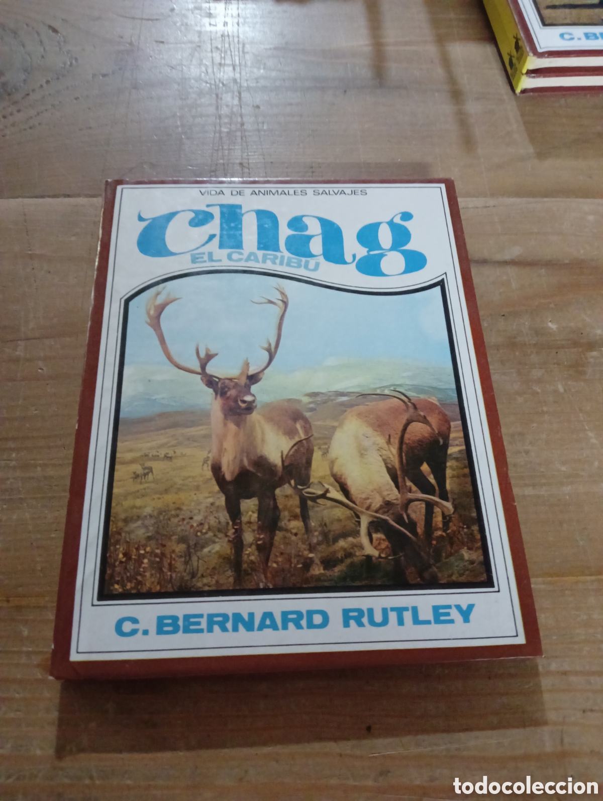Libros antiguos: Chag el carib&uacute; 4. Editorial Molino - Foto 1