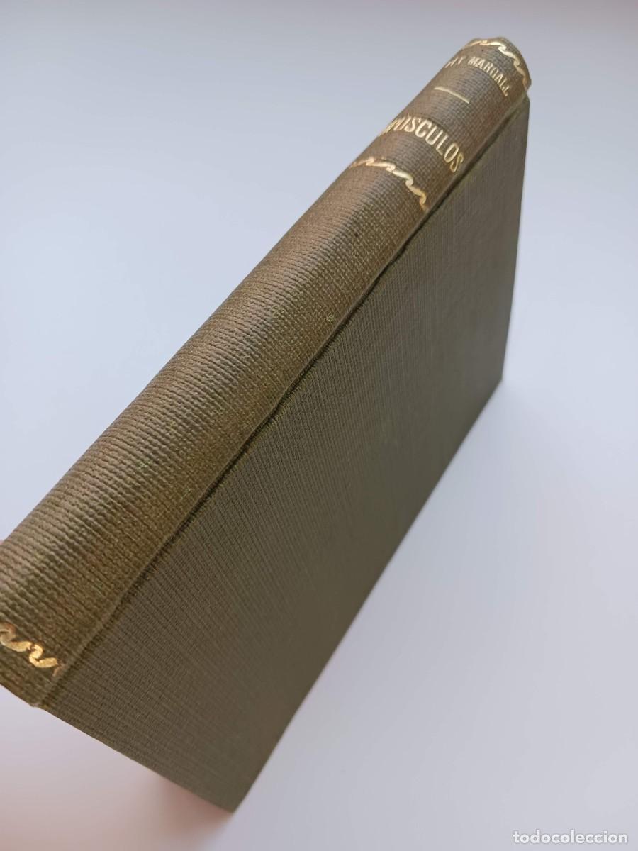 Libros antiguos: OP&Uacute;SCULOS, DE F. PI I MARGALL (1884) - EXLIBRIS - Foto 2
