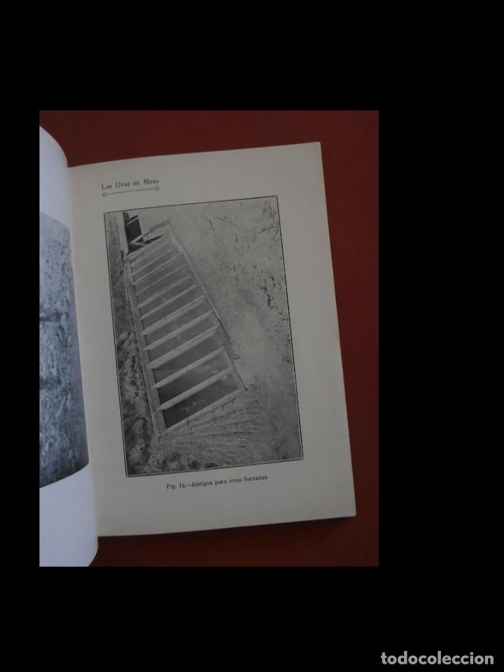 Libros antiguos: Las uvas de mesa. Emilio Lopez Guardiola - Foto 2