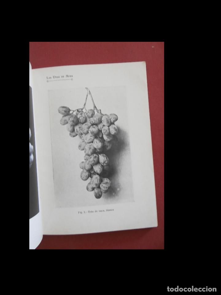 Libros antiguos: Las uvas de mesa. Emilio Lopez Guardiola - Foto 3