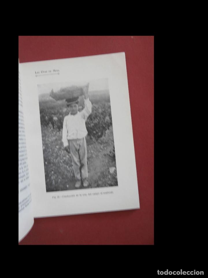 Libros antiguos: Las uvas de mesa. Emilio Lopez Guardiola - Foto 4