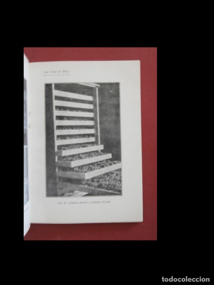 Libros antiguos: Las uvas de mesa. Emilio Lopez Guardiola - Foto 5