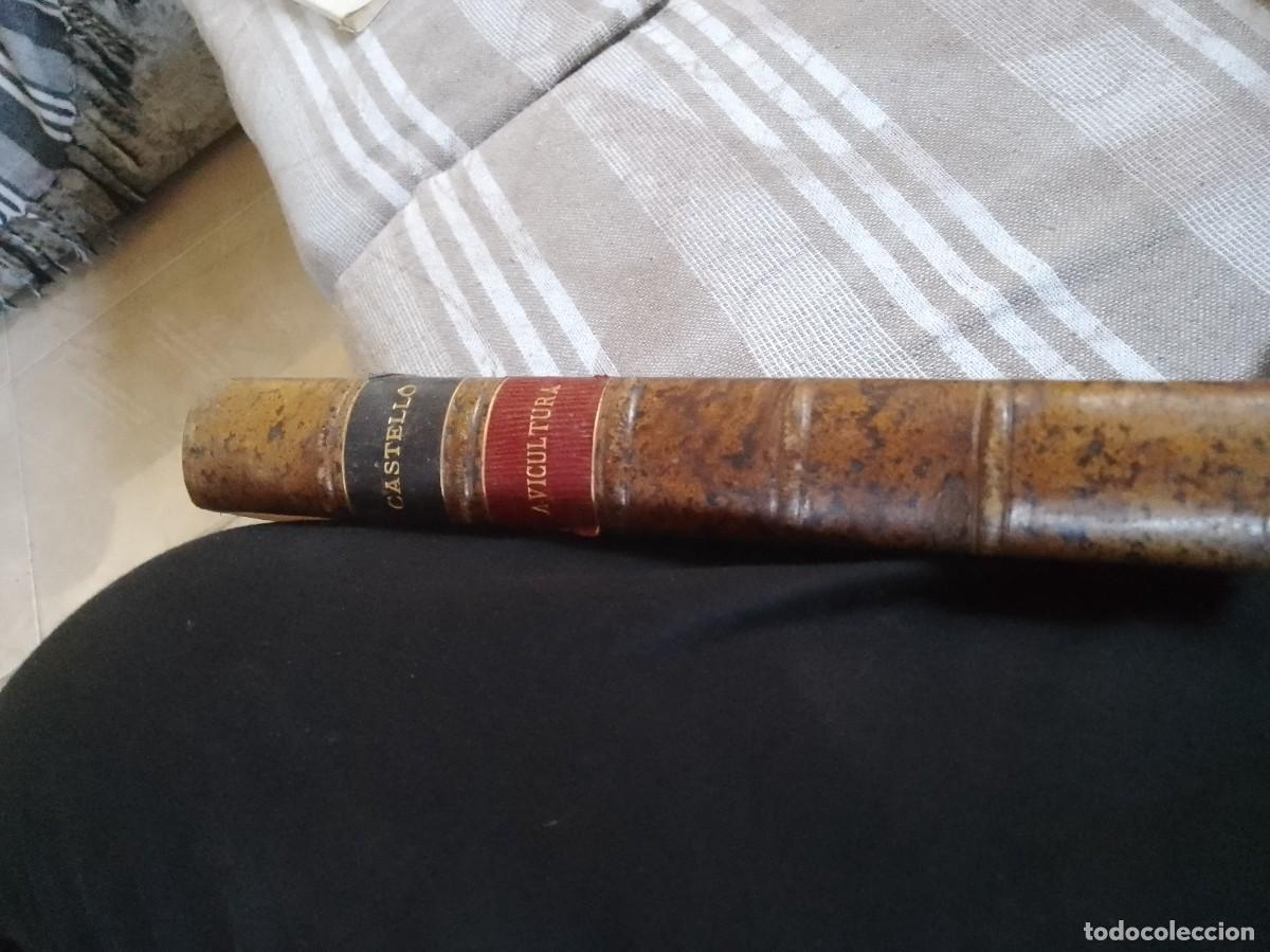 Libros antiguos: Castello a.vicultura a&ntilde;o 1914 - Foto 1