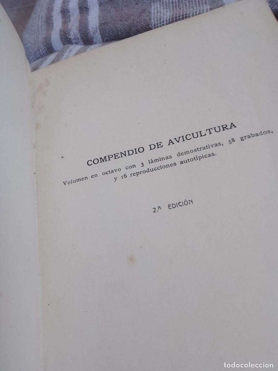 Libros antiguos: Castello a.vicultura a&ntilde;o 1914 - Foto 5