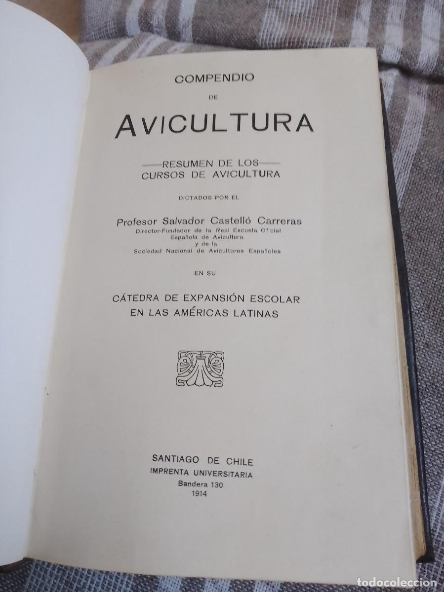 Libros antiguos: Castello a.vicultura a&ntilde;o 1914 - Foto 7