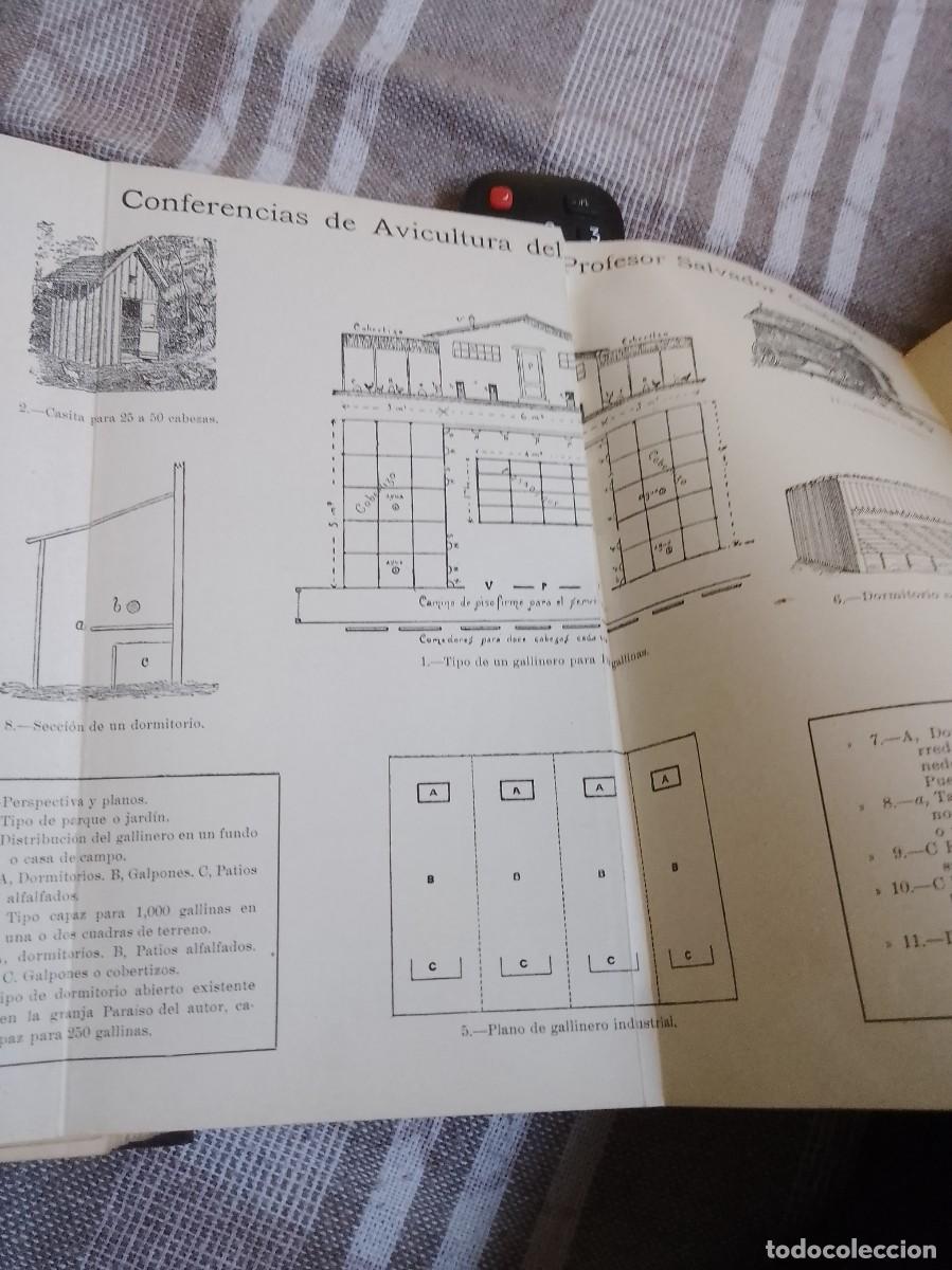 Libros antiguos: Castello a.vicultura a&ntilde;o 1914 - Foto 10
