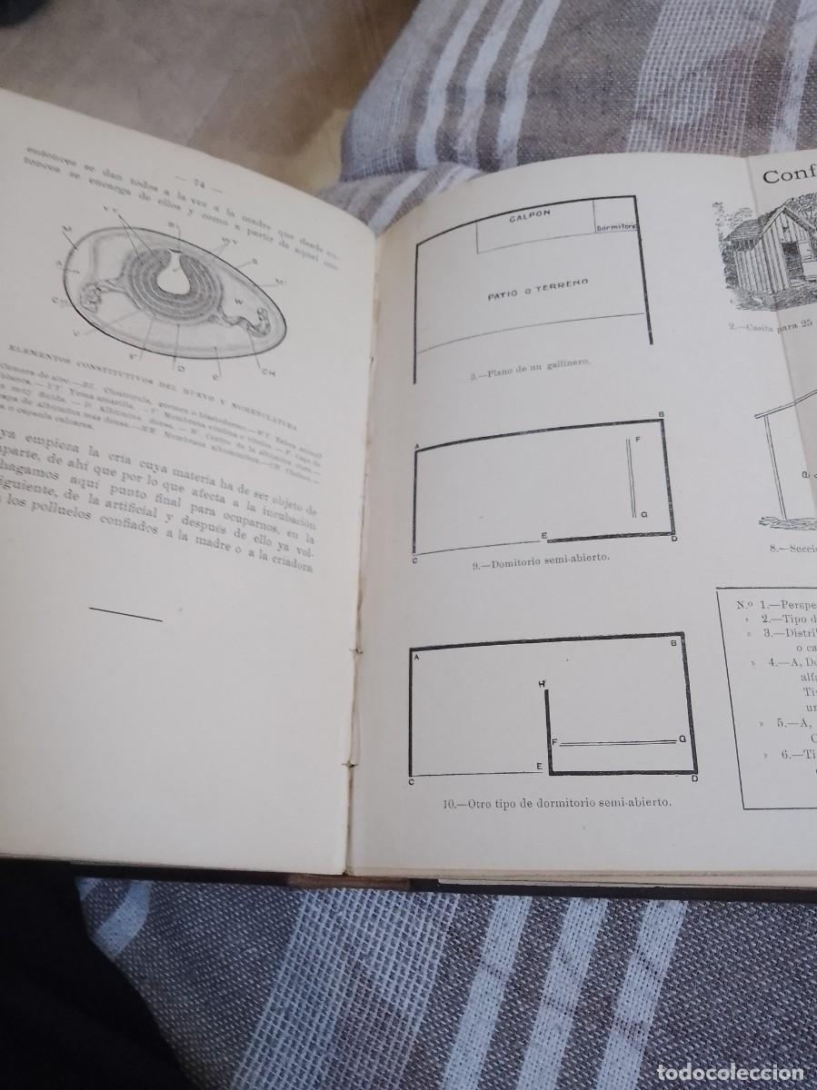 Libros antiguos: Castello a.vicultura a&ntilde;o 1914 - Foto 11