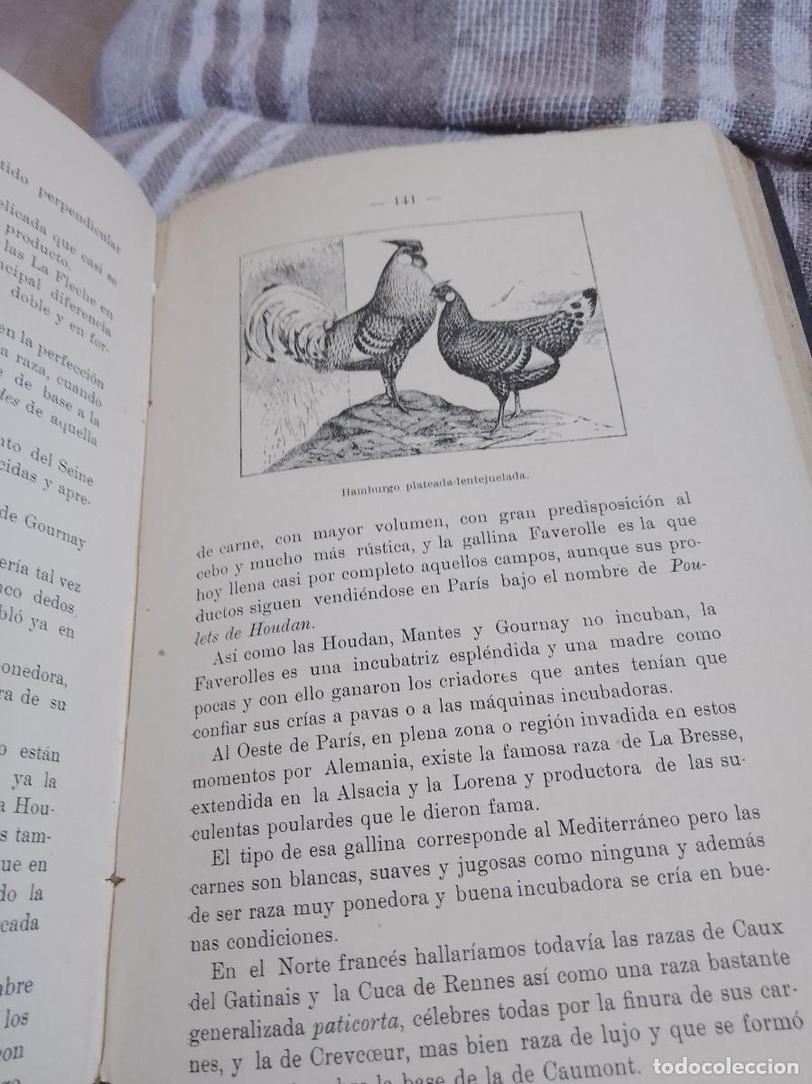 Libros antiguos: Castello a.vicultura a&ntilde;o 1914 - Foto 12