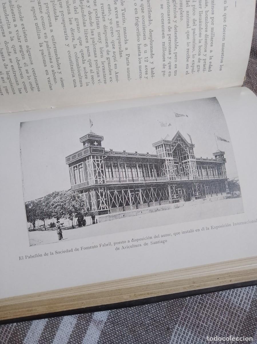 Libros antiguos: Castello a.vicultura a&ntilde;o 1914 - Foto 13