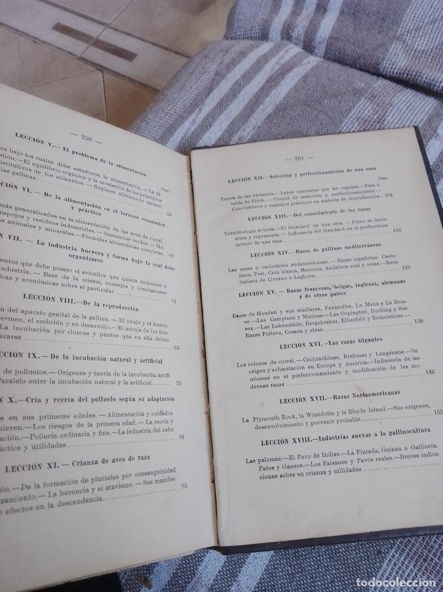 Libros antiguos: Castello a.vicultura a&ntilde;o 1914 - Foto 14