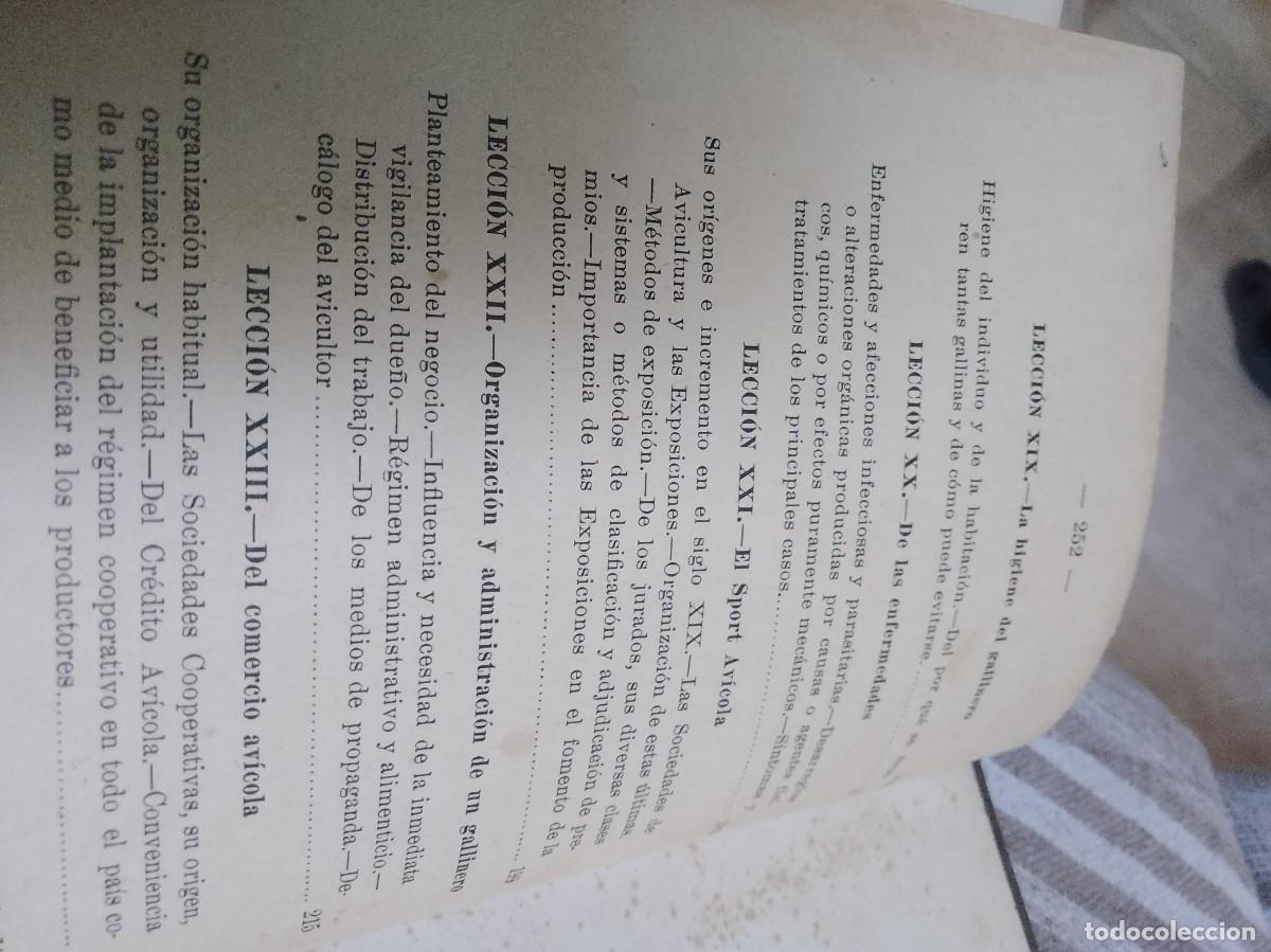 Libros antiguos: Castello a.vicultura a&ntilde;o 1914 - Foto 15