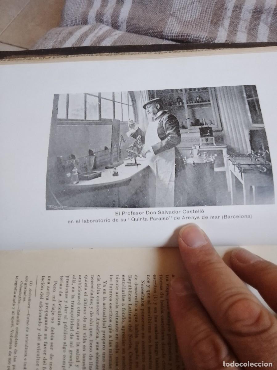 Libros antiguos: Castello a.vicultura a&ntilde;o 1914 - Foto 18