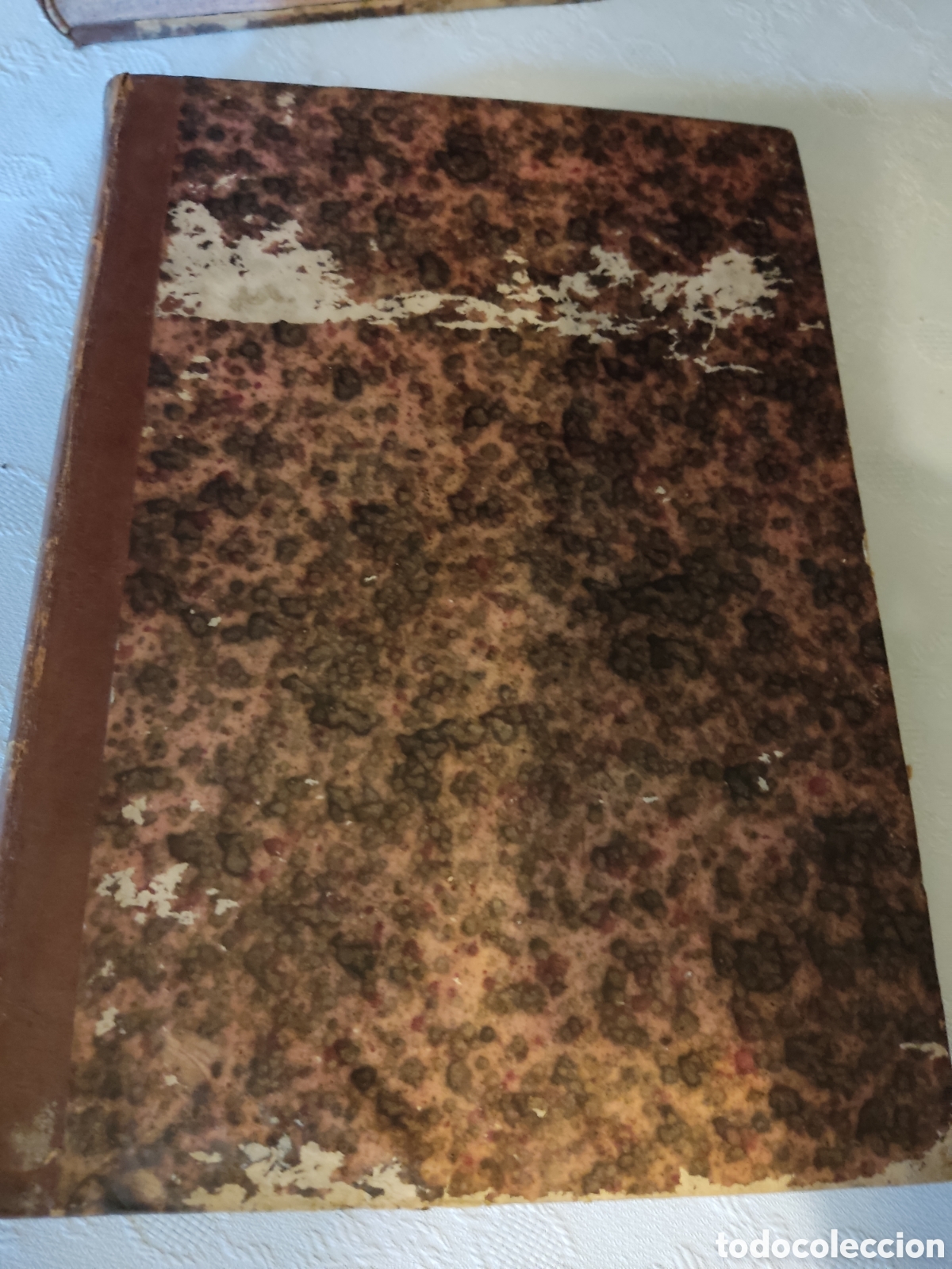 Libros antiguos: Cedulas reales XIX 1804 a 1806 - Foto 1