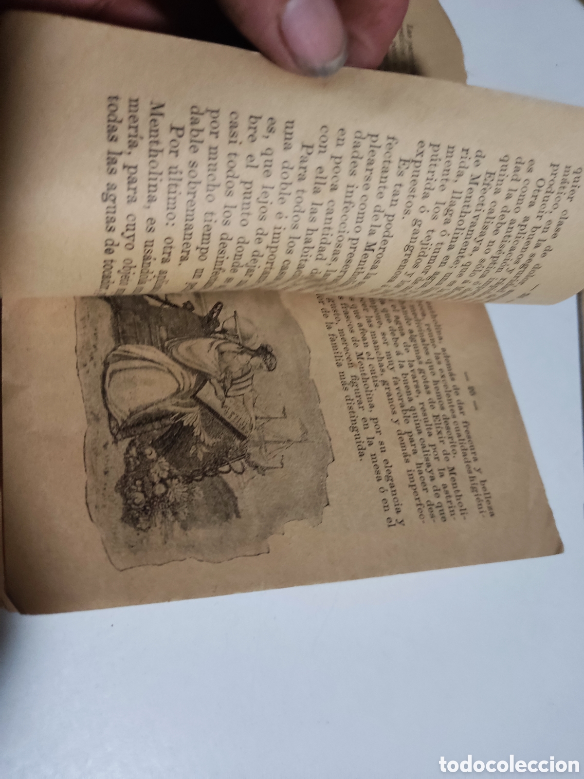 Libros antiguos: Librito antiguo La Boca elixir y polvos de mentholina dentrifica 1898 - Foto 8