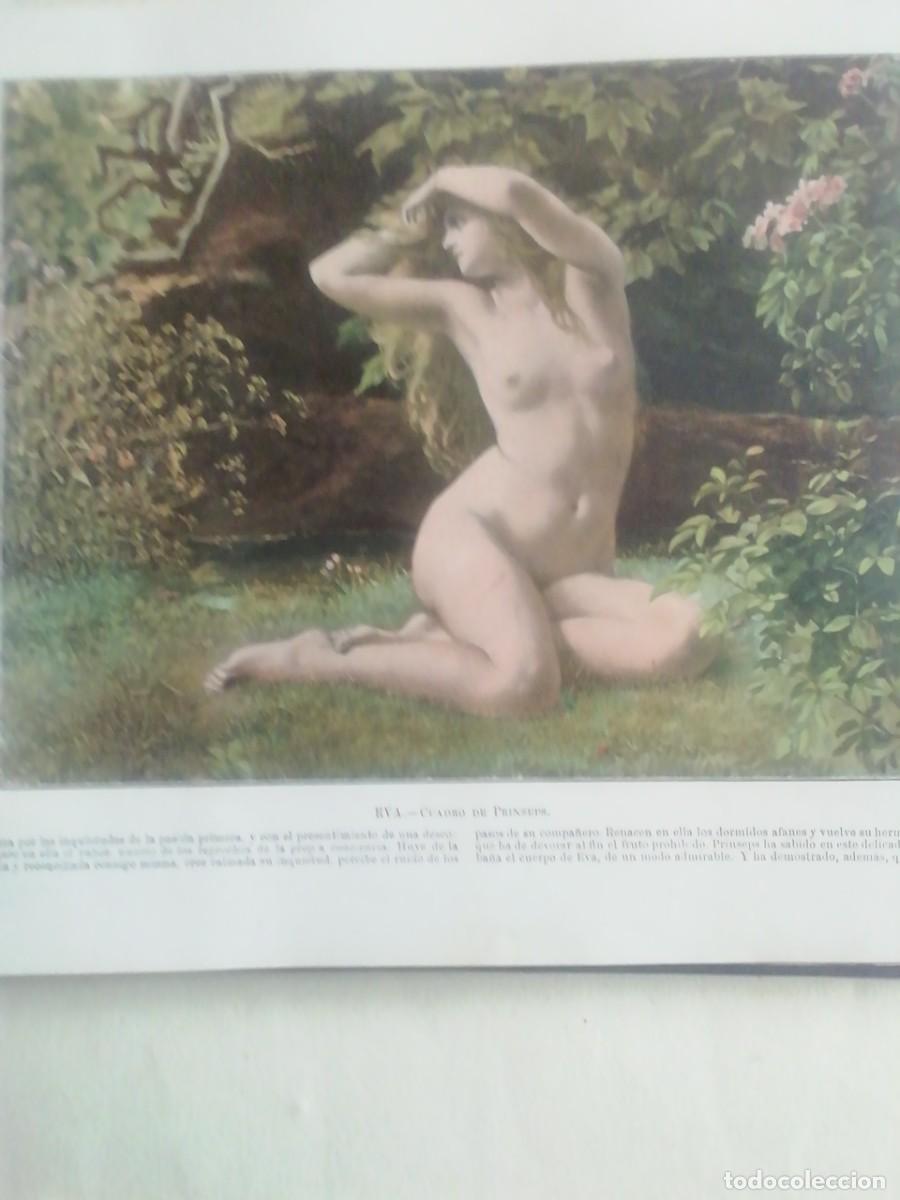 Libros antiguos: PORTFOLIO DEL DESNUDO - Foto 11