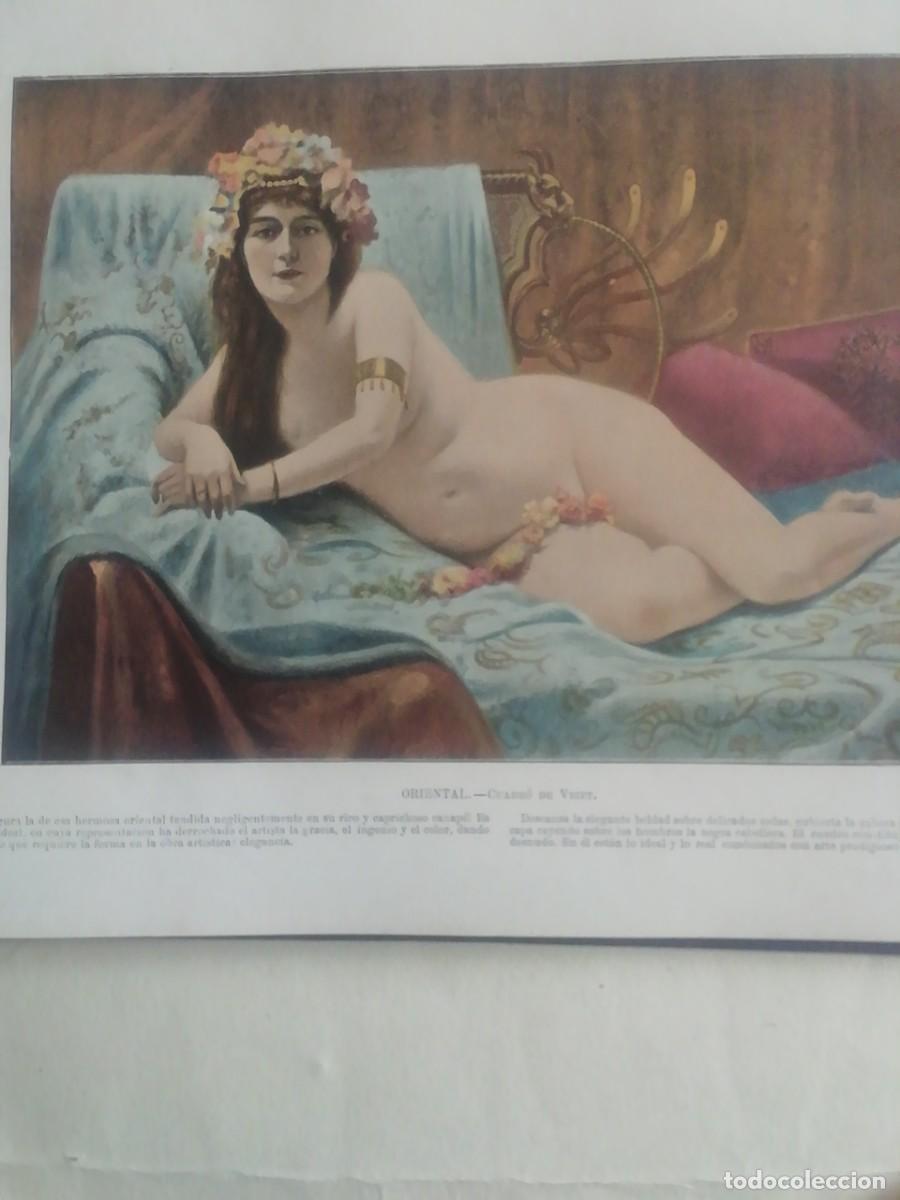 Libros antiguos: PORTFOLIO DEL DESNUDO - Foto 15