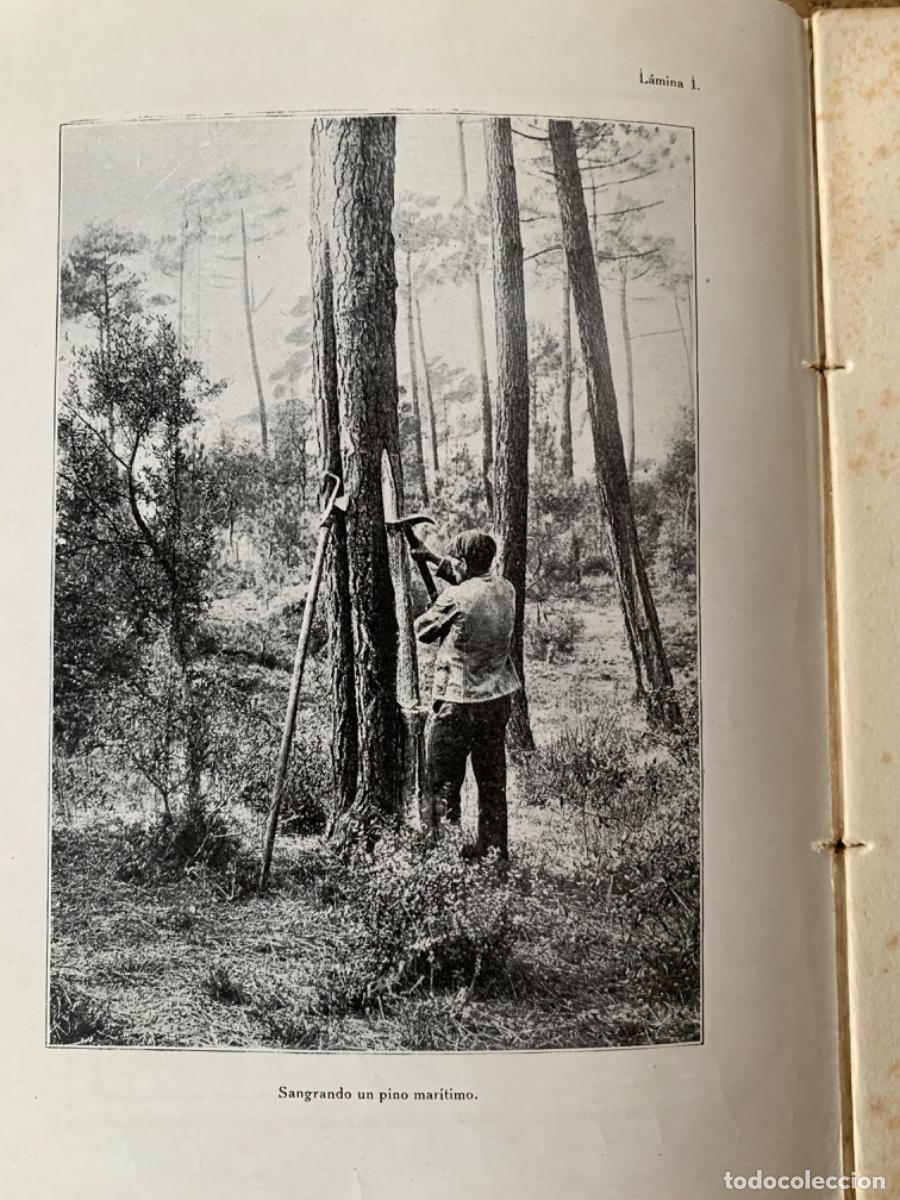 Libros antiguos: Las industrias Agr&iacute;colas ( Bols 25) - Foto 3