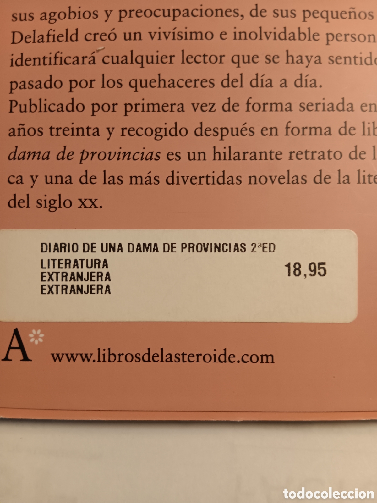 Libros antiguos: DIARIO DE UNA DAMA DE PROVINCIAS E. M . DELAFIELD - Foto 3