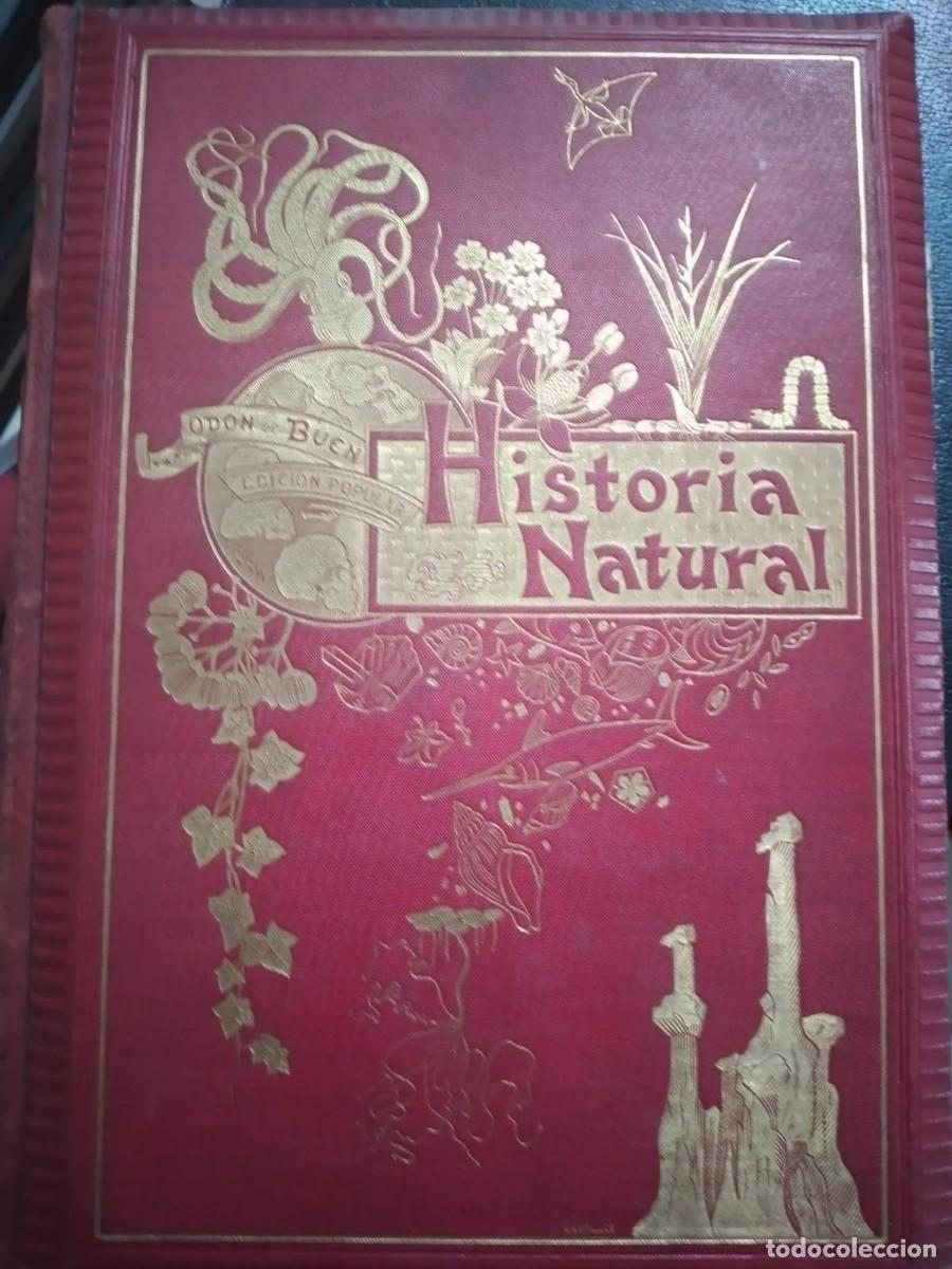 Libros antiguos: HISTORIA NATURAL 2 TOMOS - Foto 1