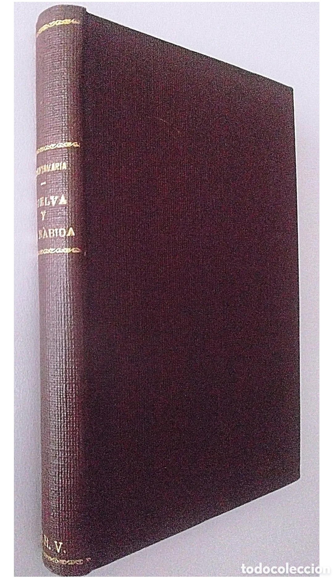 Libros antiguos: HUELVA Y LA R&Aacute;BIDA. Braulio SANTAMAR&Iacute;A. 1882. - Foto 2