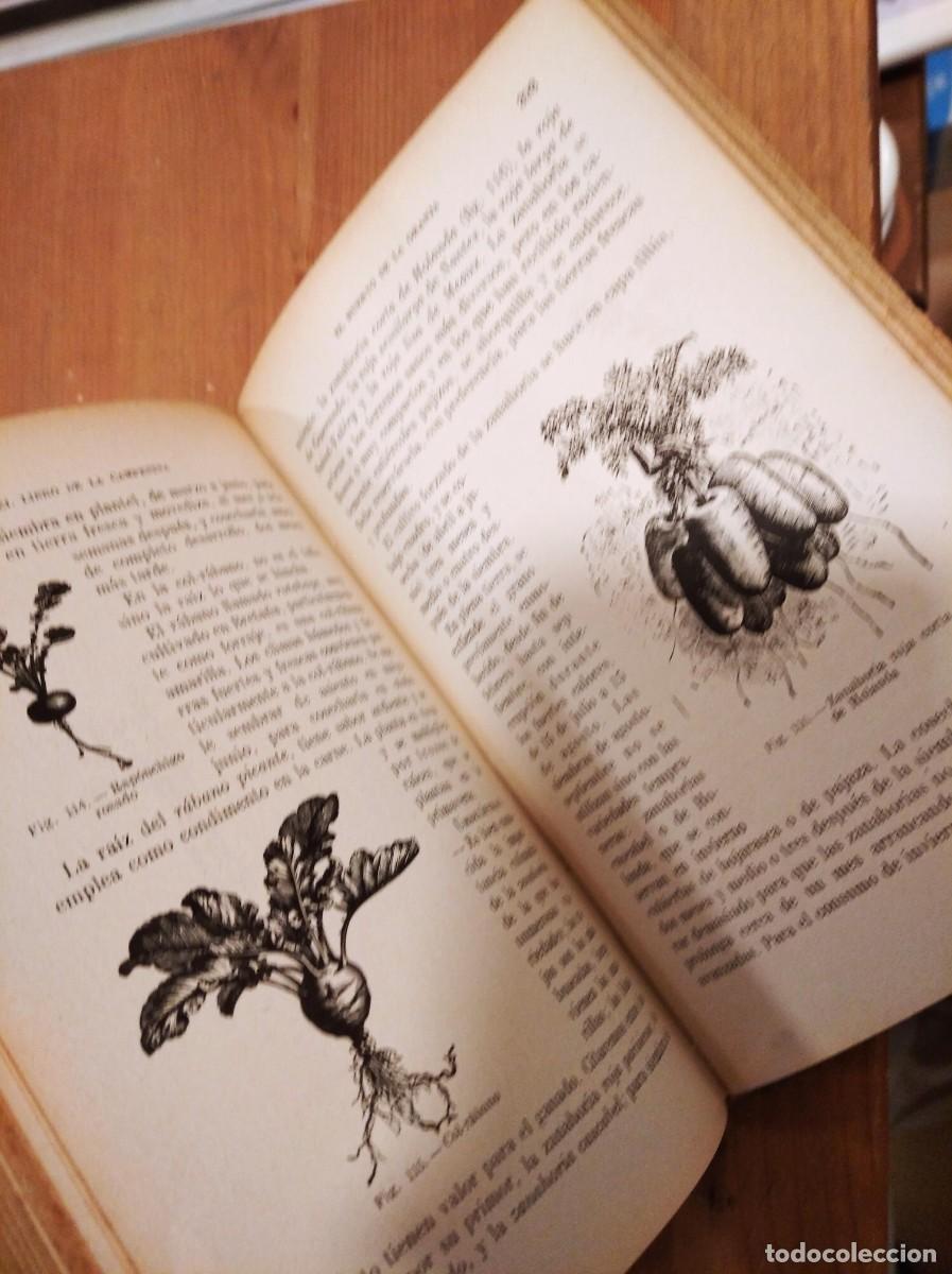 Libros antiguos: El libro de la campesina. Odette Bussard. 1928 - Foto 3