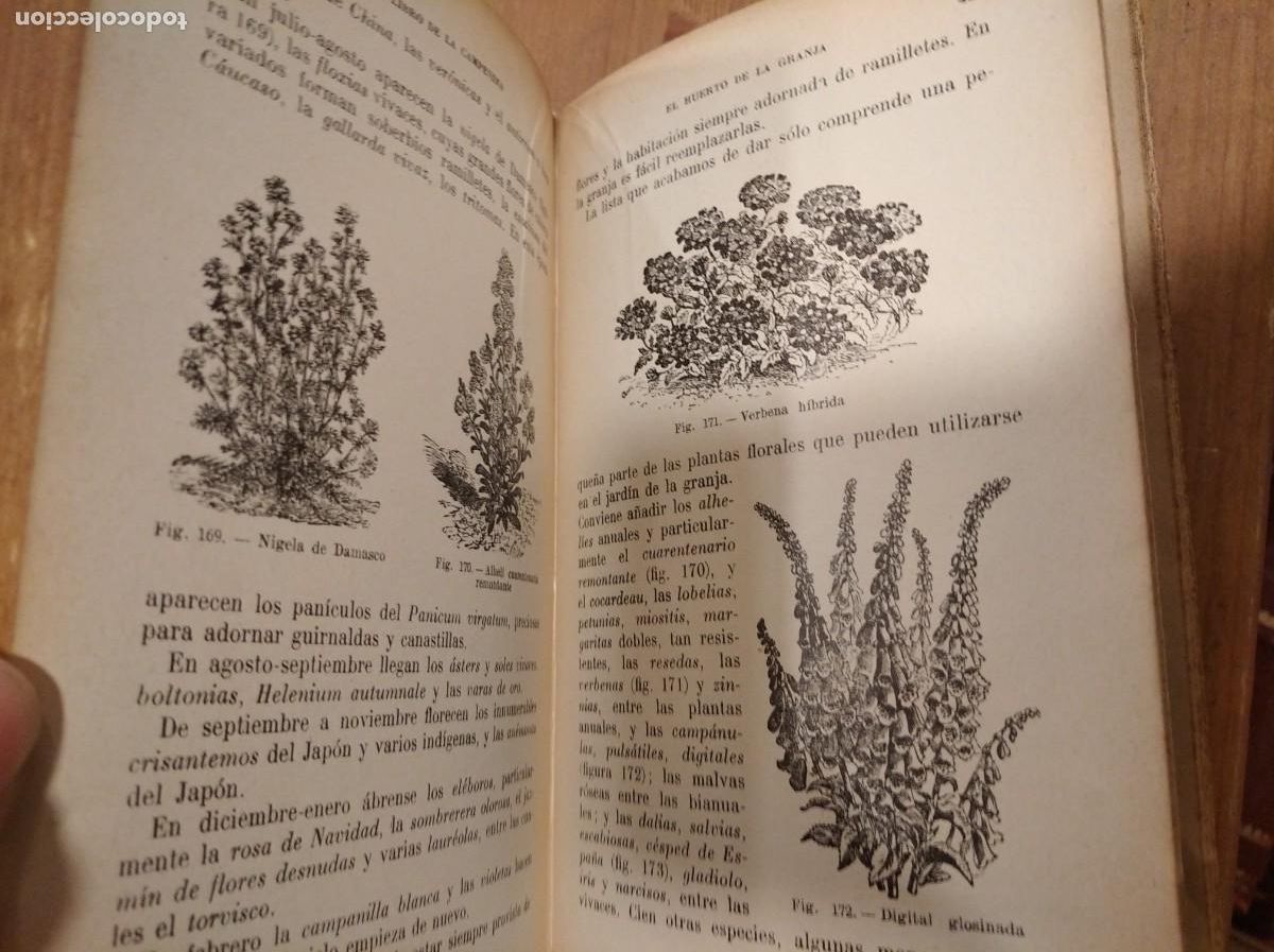 Libros antiguos: El libro de la campesina. Odette Bussard. 1928 - Foto 2