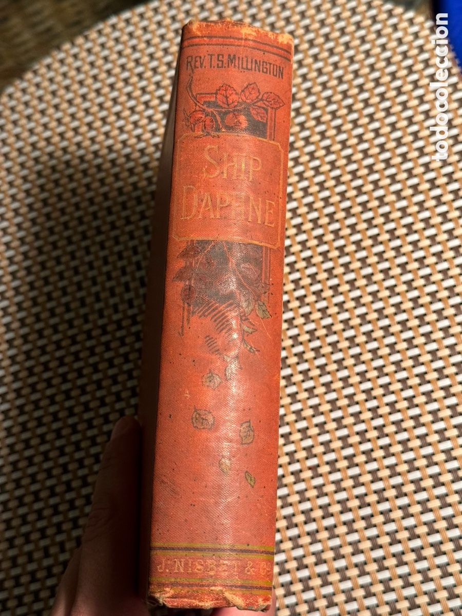 Libros antiguos: Ship Daphne Millington 1896 - Foto 5