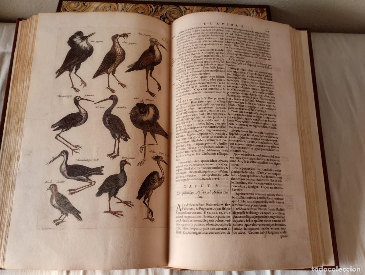 Libros antiguos: HISTORIAE NATURALIS - Foto 12
