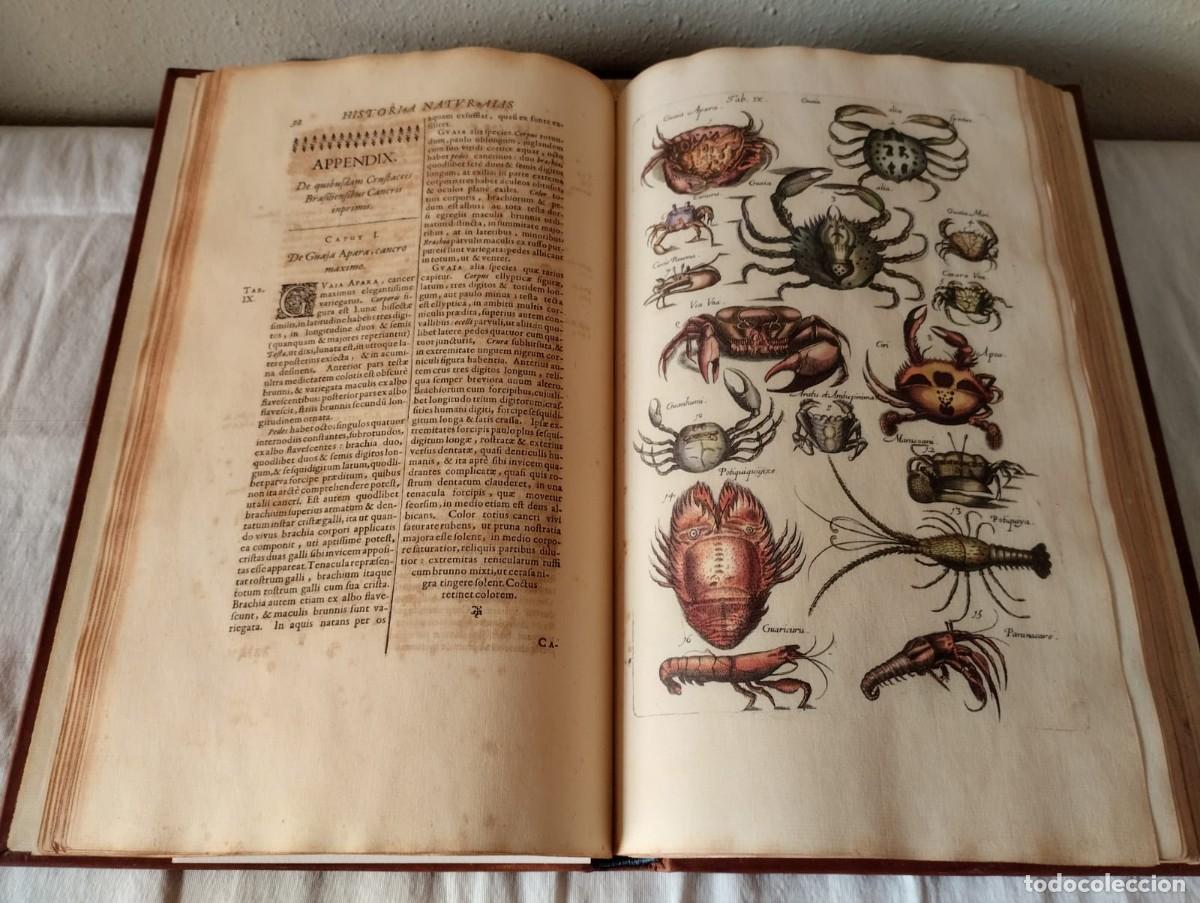 Libros antiguos: HISTORIAE NATURALIS - Foto 17