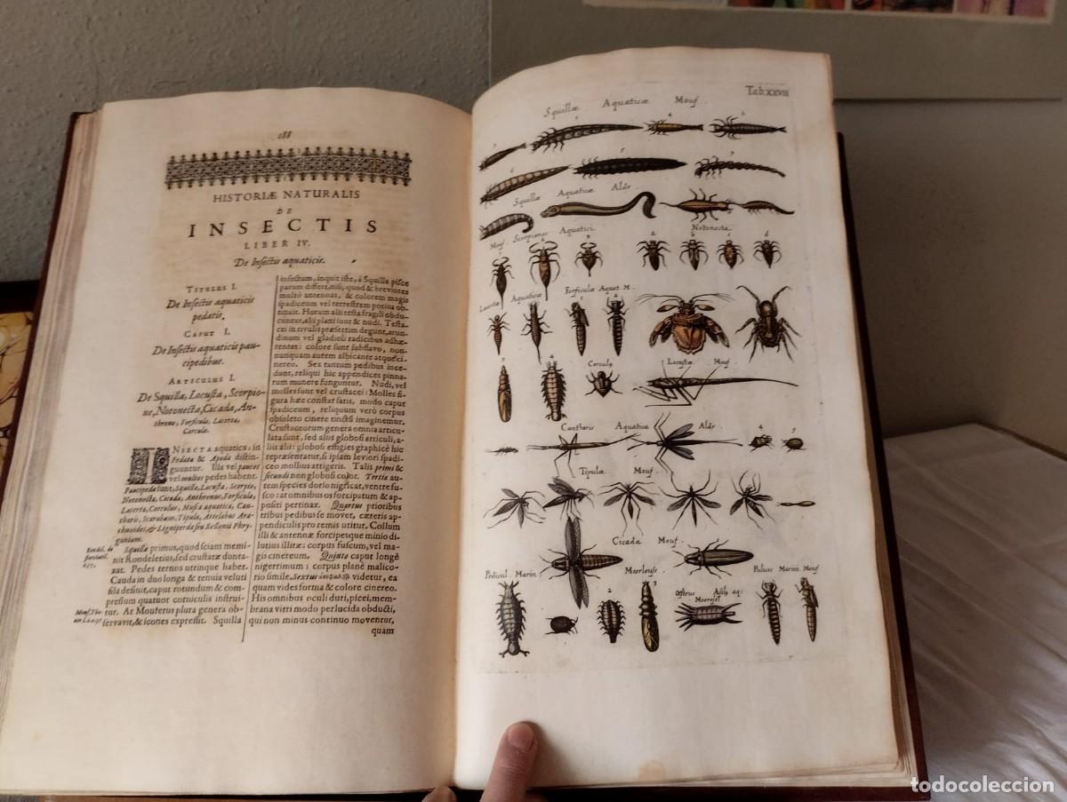 Libros antiguos: HISTORIAE NATURALIS - Foto 22