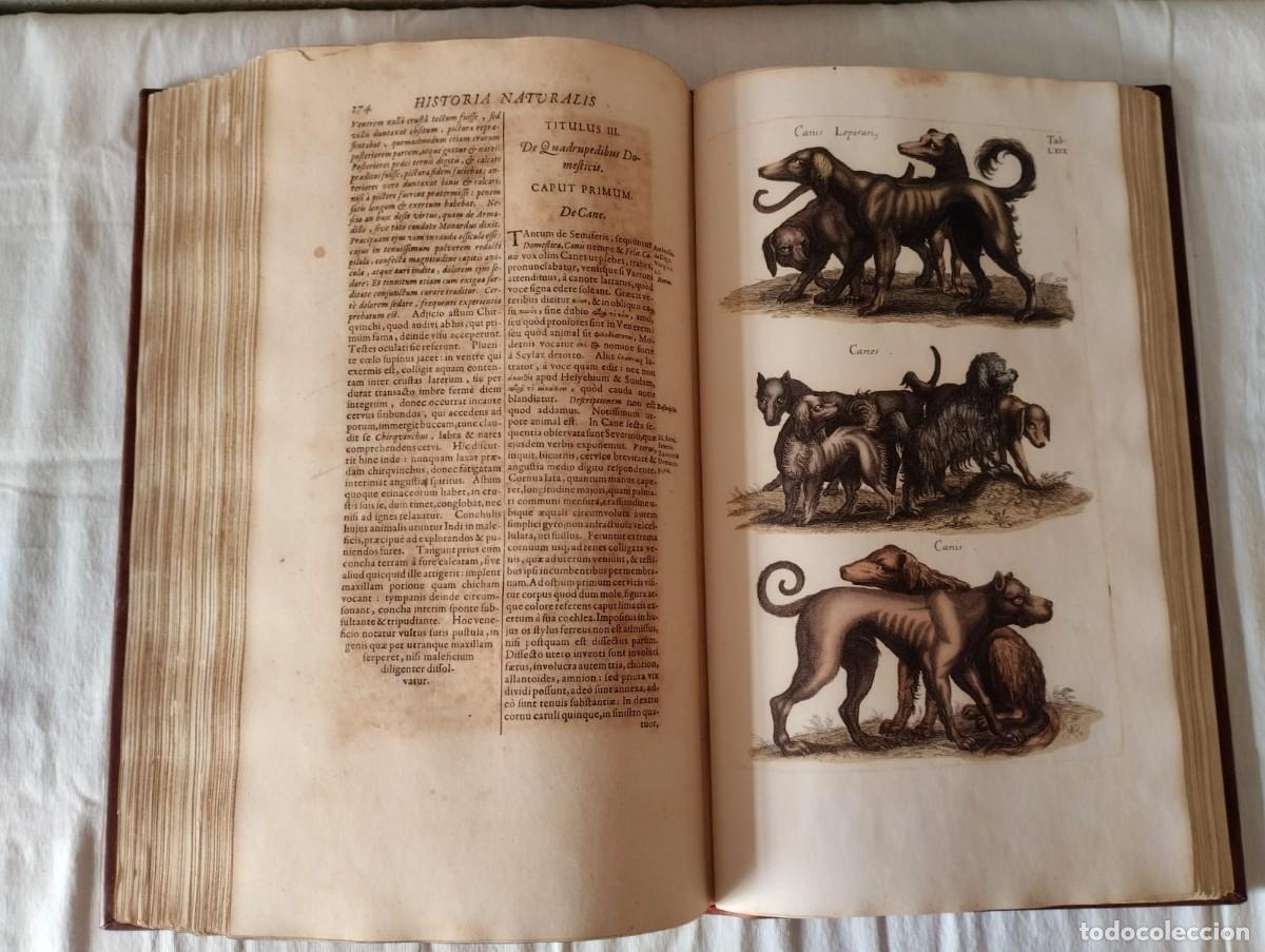 Libros antiguos: HISTORIAE NATURALIS - Foto 25