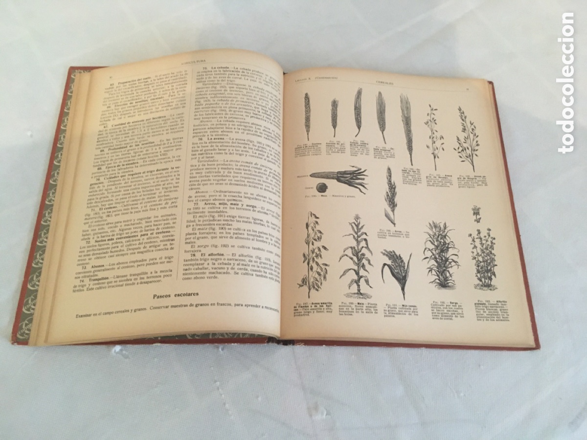 Libros antiguos: LIBRO LA AGRICULTURA AL ALCANCE DE TODOS - Foto 3