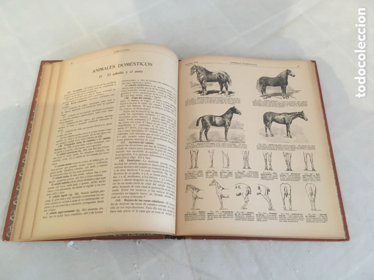 Libros antiguos: LIBRO LA AGRICULTURA AL ALCANCE DE TODOS - Foto 4