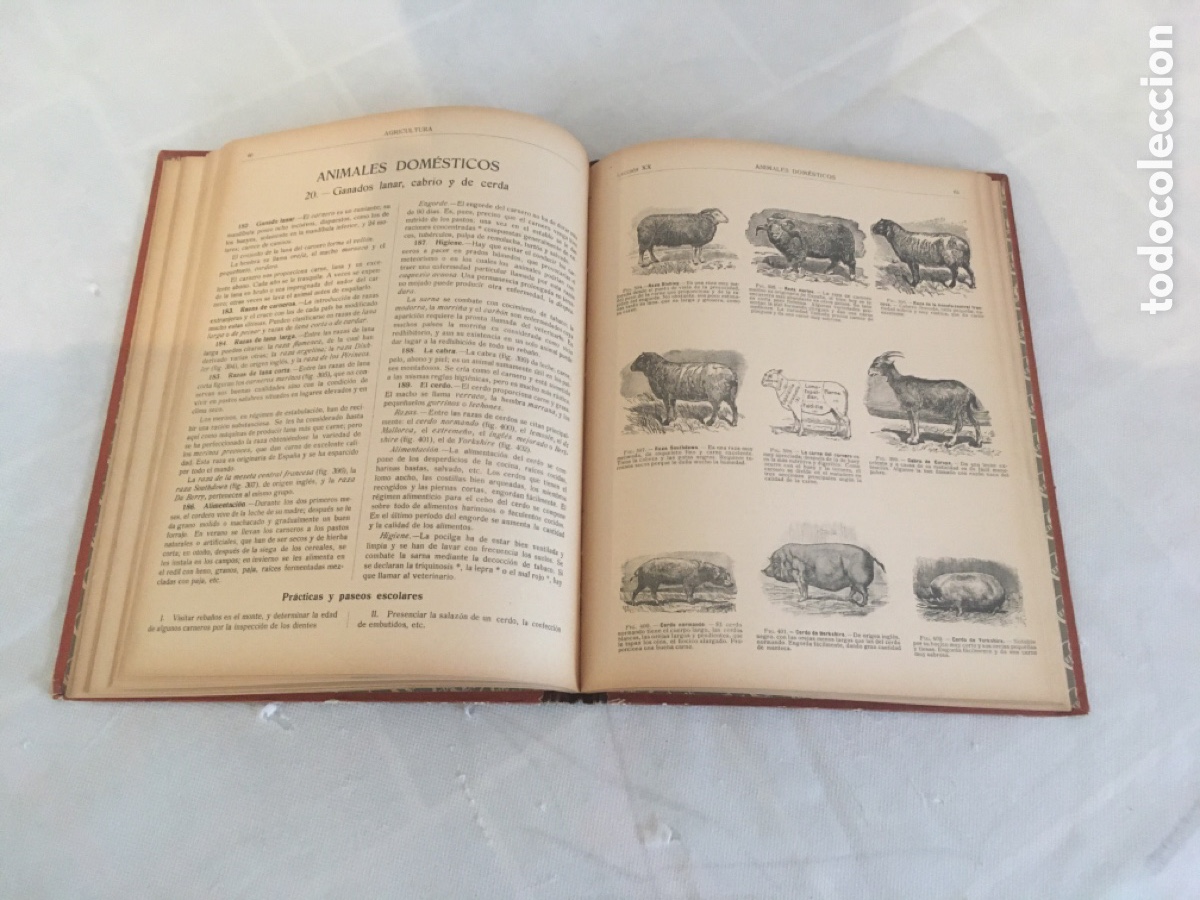 Libros antiguos: LIBRO LA AGRICULTURA AL ALCANCE DE TODOS - Foto 6