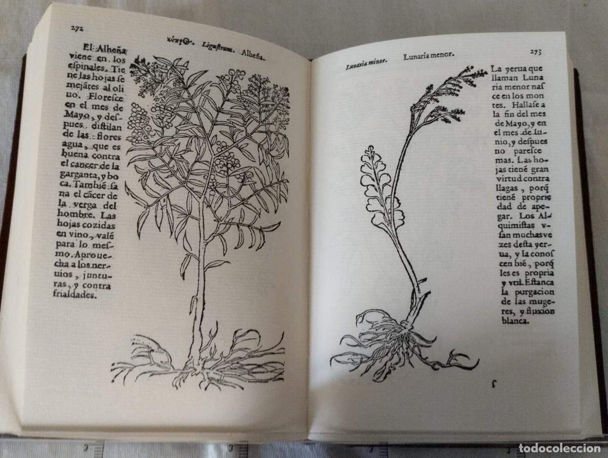 Libros antiguos: DE RE METALICA - Foto 5