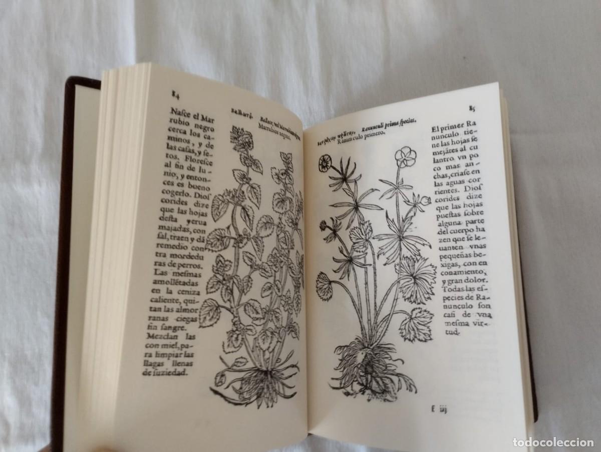 Libros antiguos: LIBRO DE YERVAS DE JUAN DE JARAVA - Foto 3