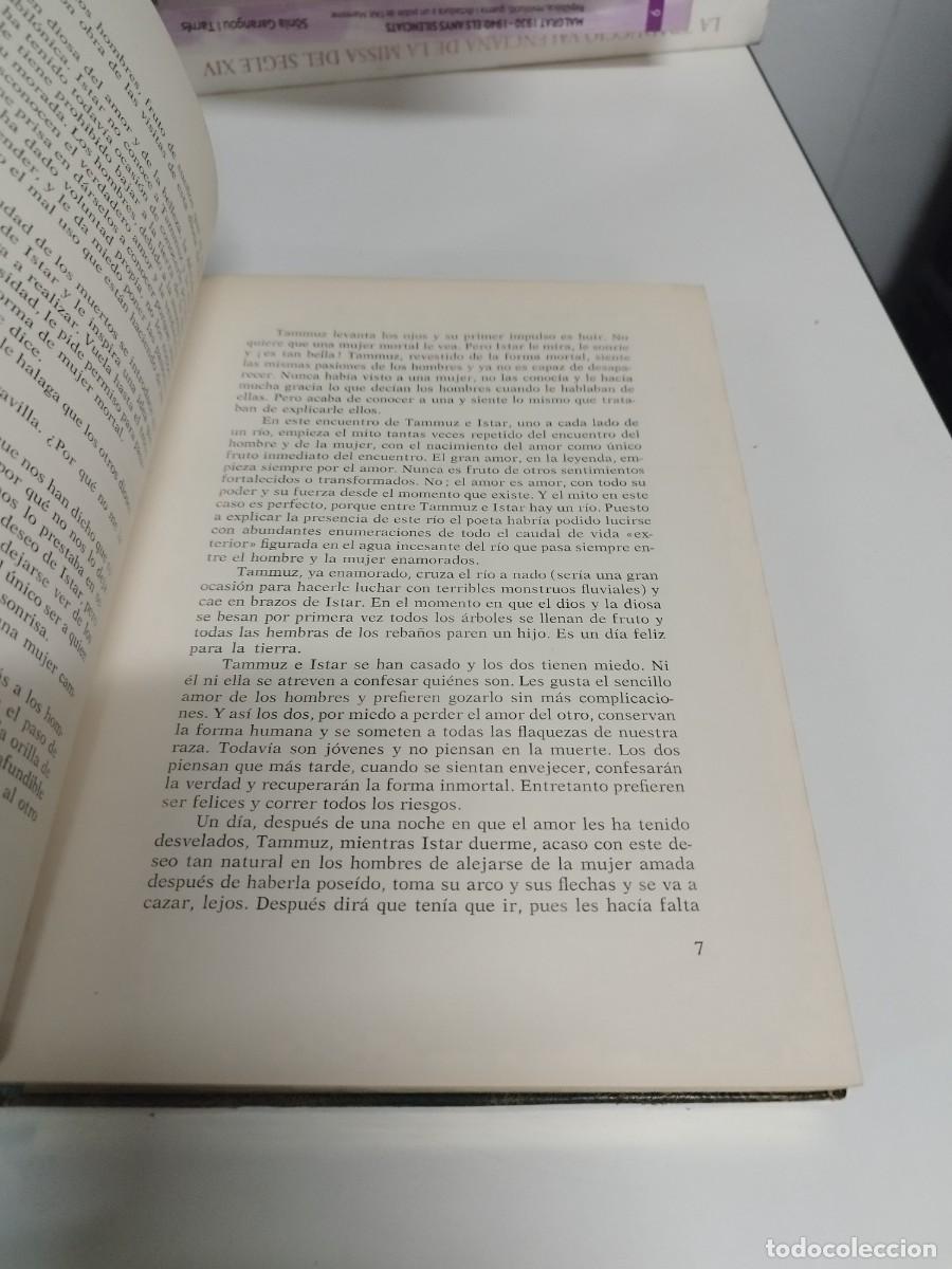 Libros antiguos: El amor de los dioses y de los h&eacute;roes. - Noel Claras&oacute;. - Foto 4