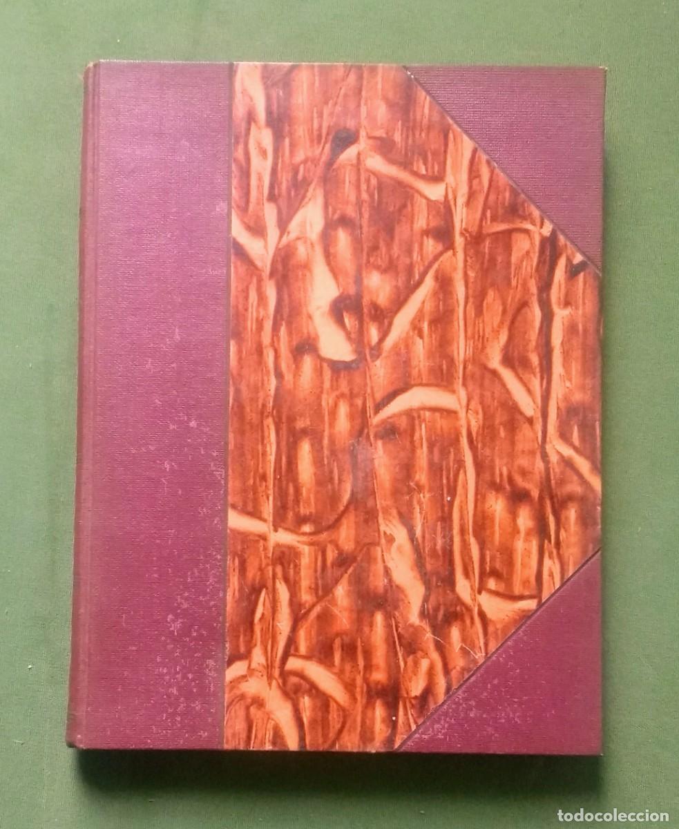 Libros antiguos: EL PARA&Iacute;SO PERDIDO - MILTON - JOAQUIN GIL EDITOR - 1935. - Foto 2