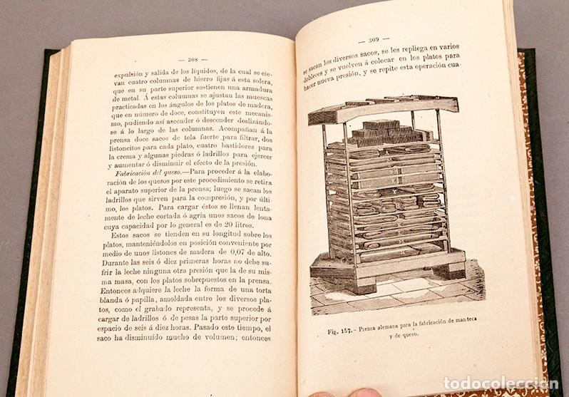 Libros antiguos: M&Aacute;QUINAS AGR&Iacute;COLAS - MANUAL PR&Aacute;CTICO - EDUARDO ABELLA - 1883 - Foto 12