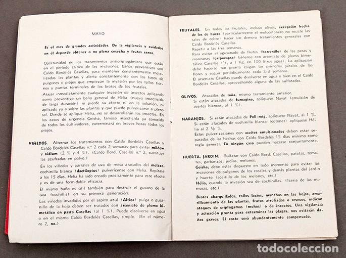 Libros antiguos: ALMANAQUE CASELLAS 1936 - Foto 5