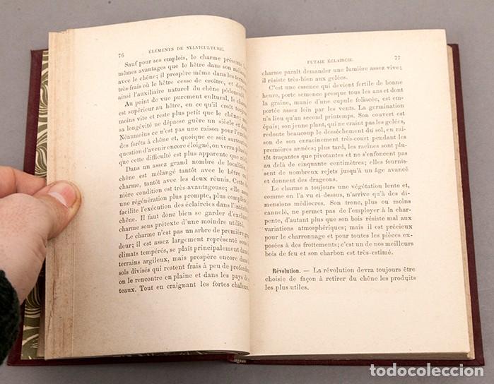 Libros antiguos: MANUEL DE SYLVICULTURE - BAGNERIS - 1878 - Foto 3
