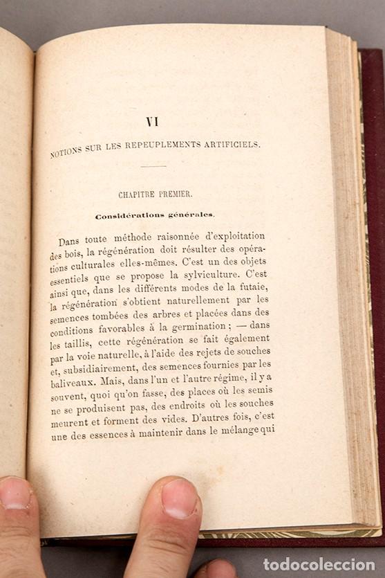 Libros antiguos: MANUEL DE SYLVICULTURE - BAGNERIS - 1878 - Foto 4