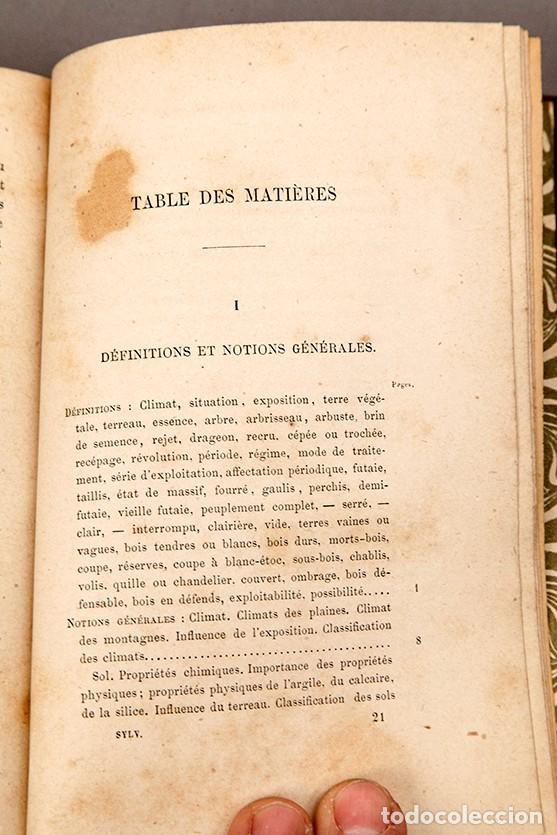 Libros antiguos: MANUEL DE SYLVICULTURE - BAGNERIS - 1878 - Foto 5