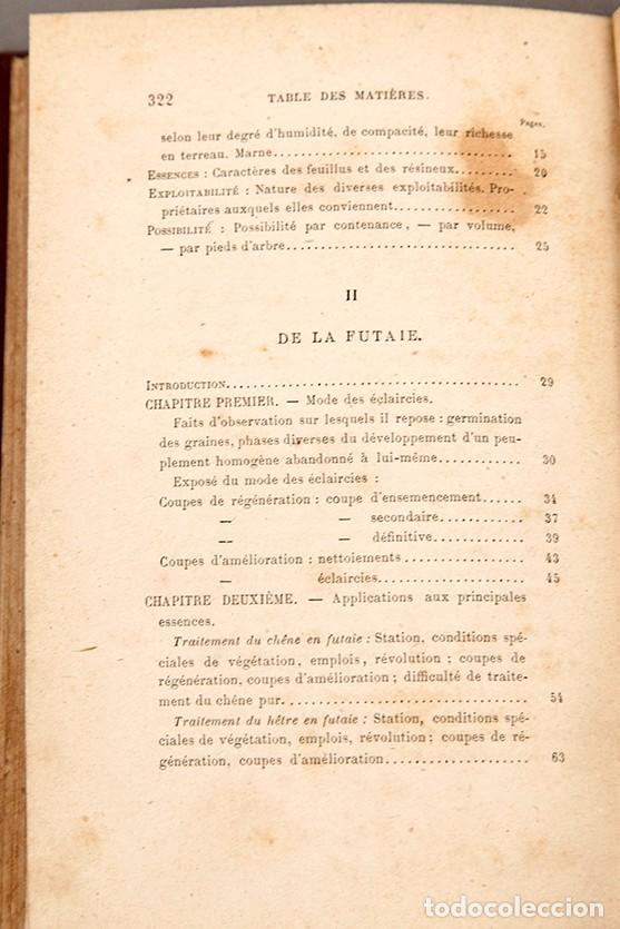 Libros antiguos: MANUEL DE SYLVICULTURE - BAGNERIS - 1878 - Foto 6