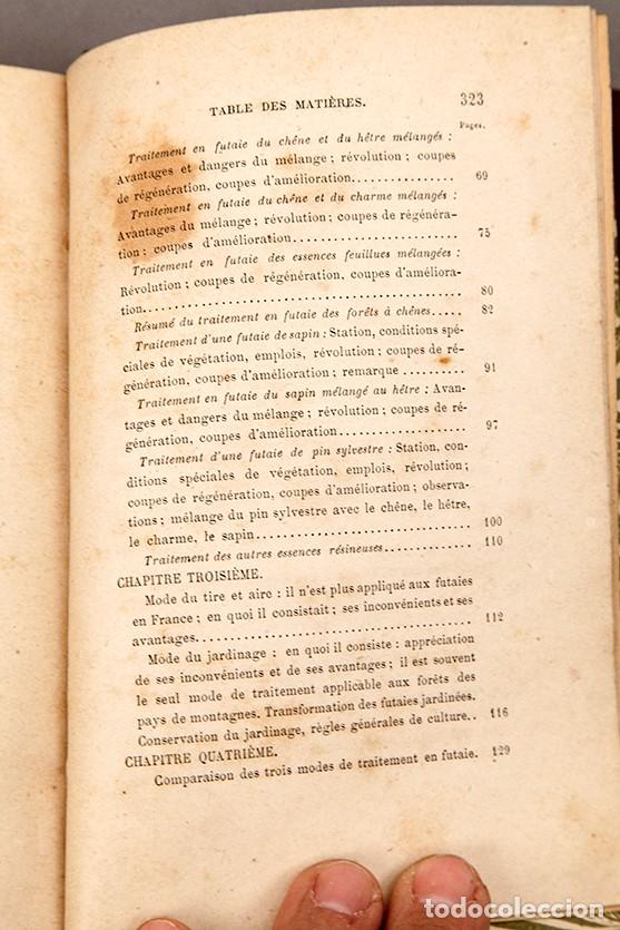 Libros antiguos: MANUEL DE SYLVICULTURE - BAGNERIS - 1878 - Foto 7