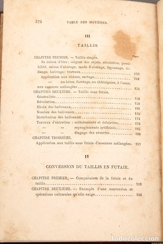 Libros antiguos: MANUEL DE SYLVICULTURE - BAGNERIS - 1878 - Foto 8