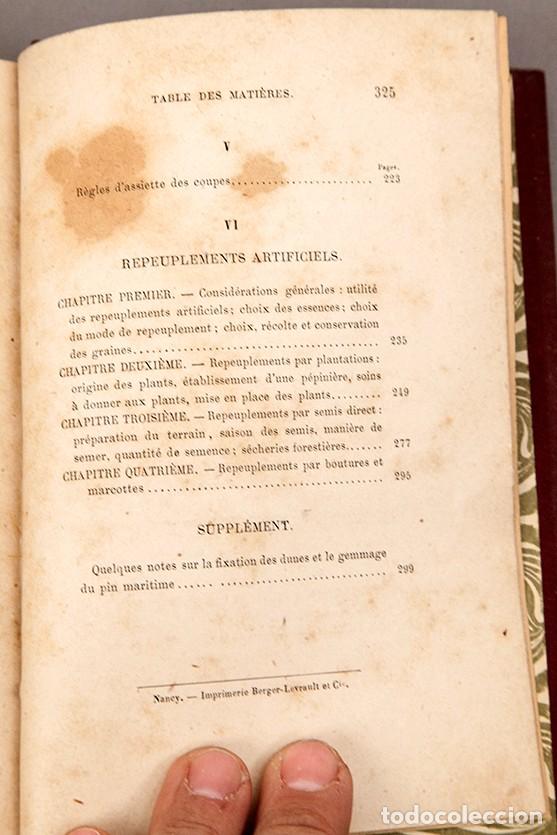 Libros antiguos: MANUEL DE SYLVICULTURE - BAGNERIS - 1878 - Foto 9