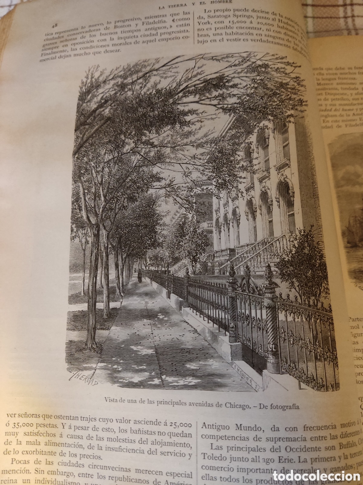 Libros antiguos: 2 tomos la tierra y el hombre 1886 hellwald - Foto 3
