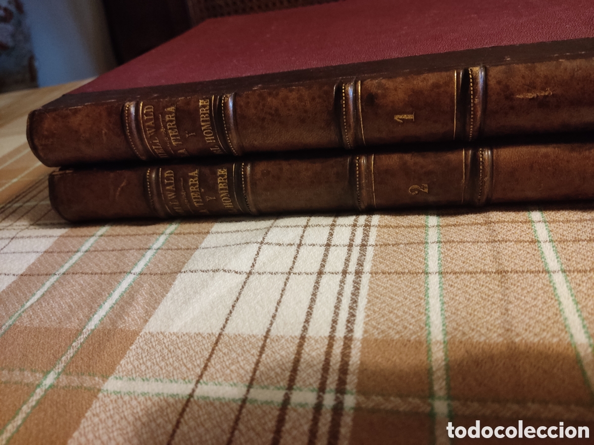 Libros antiguos: 2 tomos la tierra y el hombre 1886 hellwald - Foto 5