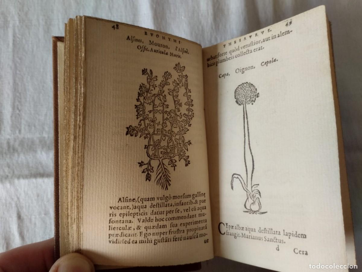 Libros antiguos: THESAURUS DE REMEDIIS SECRETIS - Foto 4